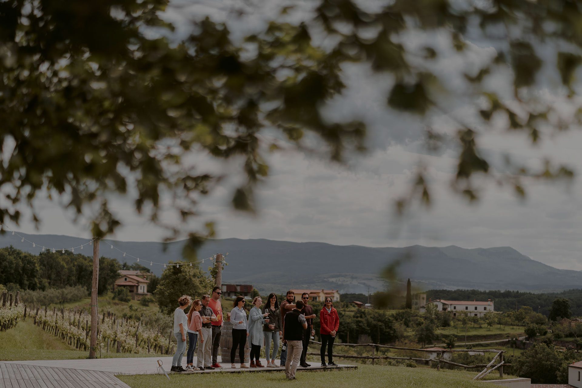 Wine Tour to Vipava