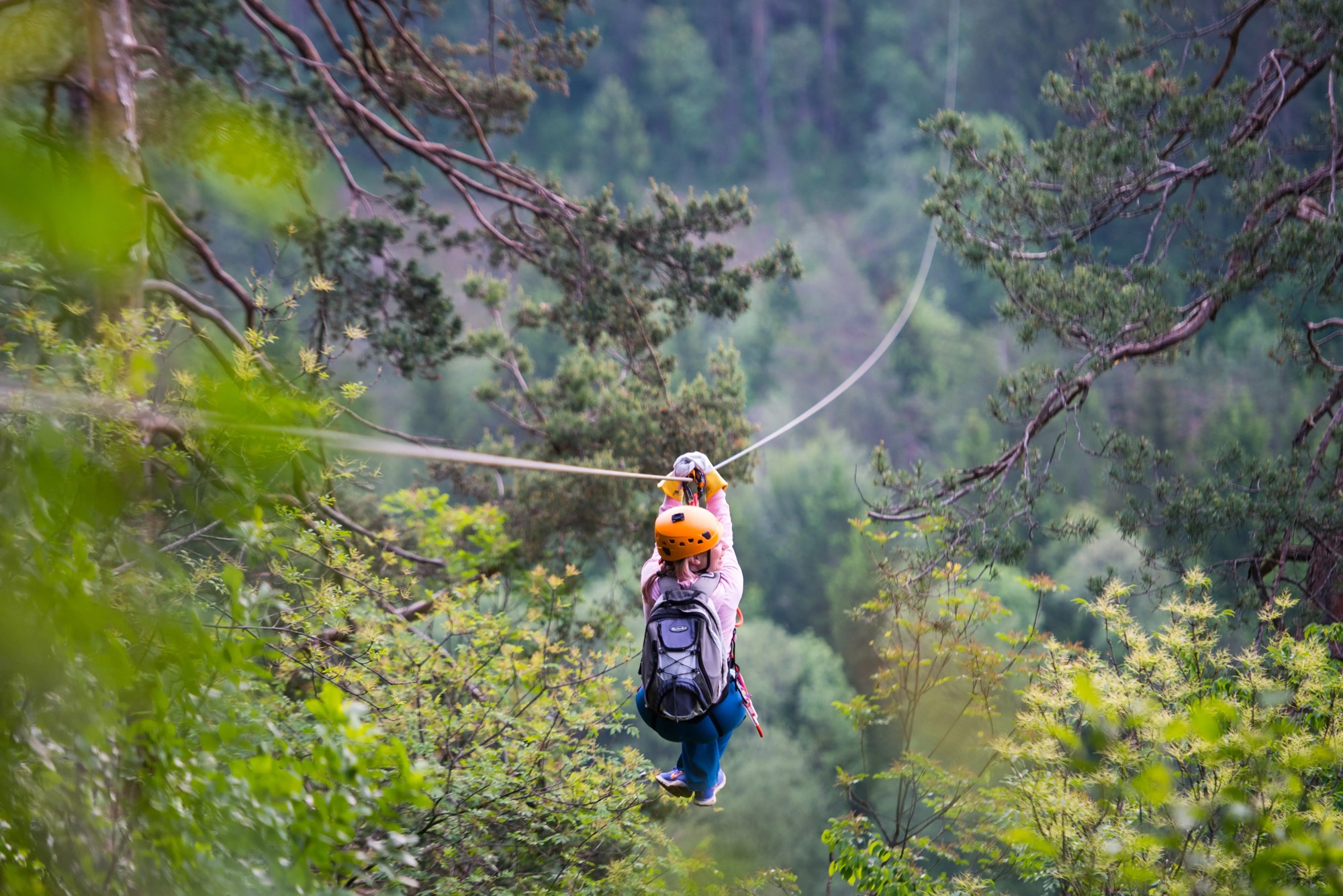 Zipline Bled
