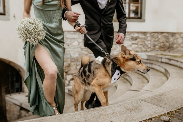 A & G Lake Bled Castle wedding