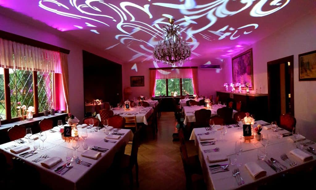 DJ Fun Team — Lake Bled wedding