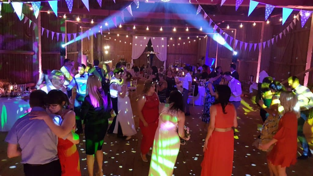 DJ Fun Team — Lake Bled wedding