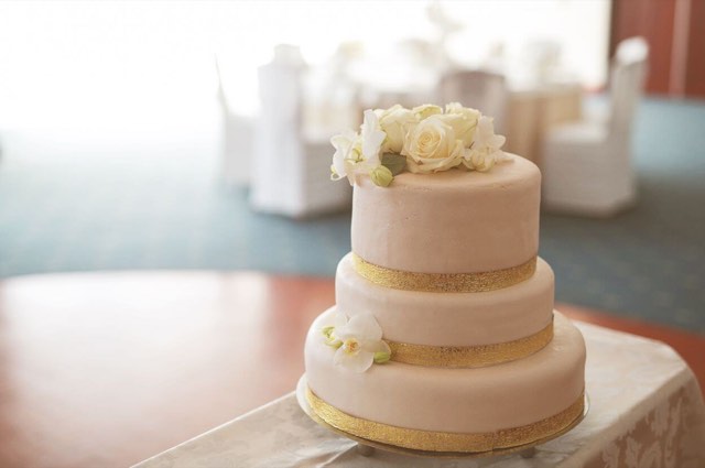 Grand Hotel Toplice wedding