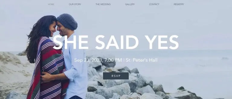 Second website example
